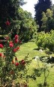 Туры в отель Villa Abbamer
