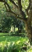 Туры в отель The Guest House Pongola
