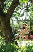 Туры в отель The Guest House Pongola