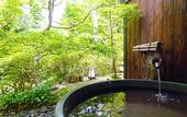 Туры в отель Momijiya Bekkan Kawanoiori