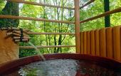 Туры в отель Momijiya Bekkan Kawanoiori
