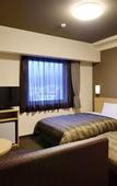 Туры в отель Hotel Route-Inn Hita Ekimae