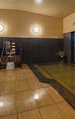 Туры в отель Hotel Route-Inn Hita Ekimae