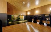 Туры в отель Hotel Route-Inn Hita Ekimae