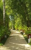 Туры в отель Isla Cabana Resort