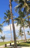 Туры в отель Isla Cabana Resort
