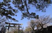 Туры в отель KKR Hotel Kumamoto