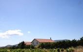Туры в отель Varaba Country House