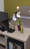 Туры в отель Hotel Amfiteatar