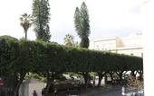 Туры в отель Etna Suite