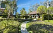 Туры в отель U Khao Yai