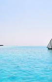 Туры в отель Bibee Maldives