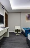 Туры в отель The Menord Hotel