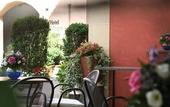 Туры в отель Hotel Charleston