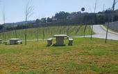 Туры в отель Hotel Rural Quinta das Quintaes