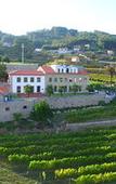 Туры в отель Hotel Rural Quinta das Quintaes