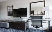Туры в отель Hilton Garden Inn Foxborough Patriot Place