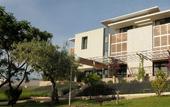 Туры в отель Bluesun Hotel Amor