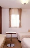 Туры в отель Shizuoka Town Hotel