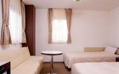 Туры в отель Shizuoka Town Hotel