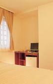 Туры в отель Shizuoka Town Hotel