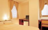 Туры в отель Shizuoka Town Hotel