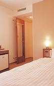 Туры в отель Shizuoka Town Hotel