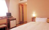 Туры в отель Shizuoka Town Hotel