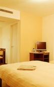 Туры в отель Shizuoka Town Hotel