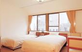 Туры в отель Shizuoka Town Hotel