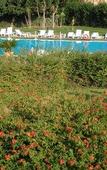 Туры в отель Heraclea Hotel Residence