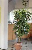 Туры в отель Heraclea Hotel Residence