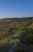 Туры в отель Elephant Hide of Knysna Guest Lodge