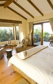 Туры в отель Elephant Hide of Knysna Guest Lodge