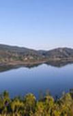 Туры в отель Elephant Hide of Knysna Guest Lodge