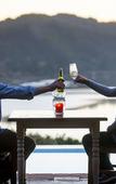 Туры в отель Elephant Hide of Knysna Guest Lodge
