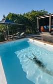 Туры в отель Elephant Hide of Knysna Guest Lodge