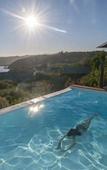 Туры в отель Elephant Hide of Knysna Guest Lodge
