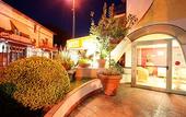 Туры в отель Hotel Ristorante Il Ceppo