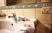 Туры в отель Hotel Ristorante Il Ceppo