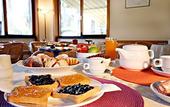 Туры в отель Hotel Ristorante Il Ceppo