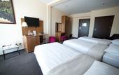 Туры в отель Hotel Sokolowska
