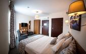 Туры в отель Hotel Sokolowska