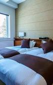 Туры в отель Mountainside Hakuba