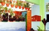 Туры в отель Orchid Haven