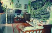 Туры в отель Orchid Haven
