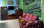 Туры в отель Orchid Haven