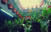 Туры в отель Orchid Haven