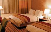 Туры в отель Delite Sarovar Portico Faridabad