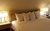Туры в отель Garden Inn of Homestead